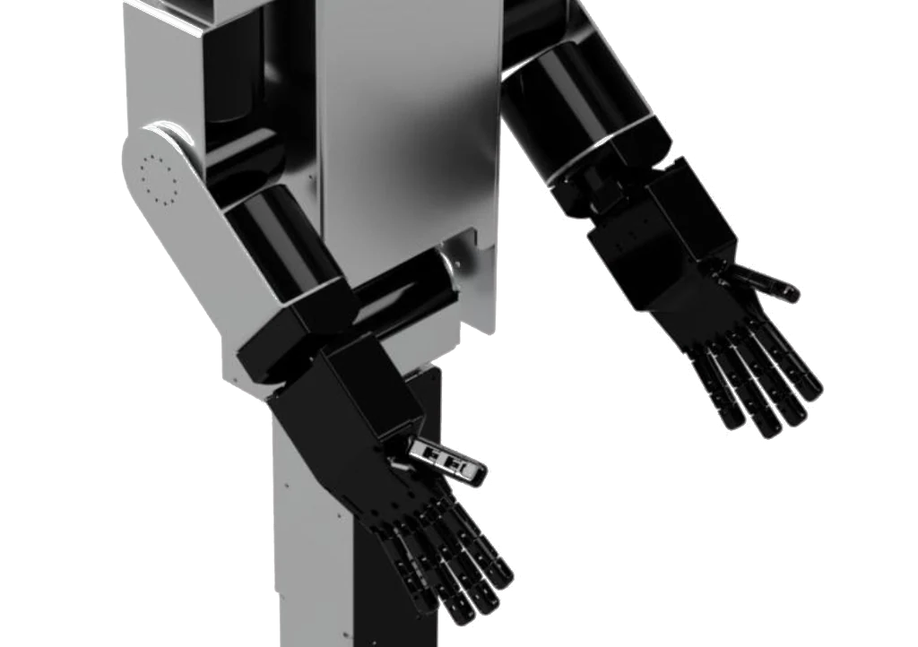 Buildo's two five-fingered hands and forearms