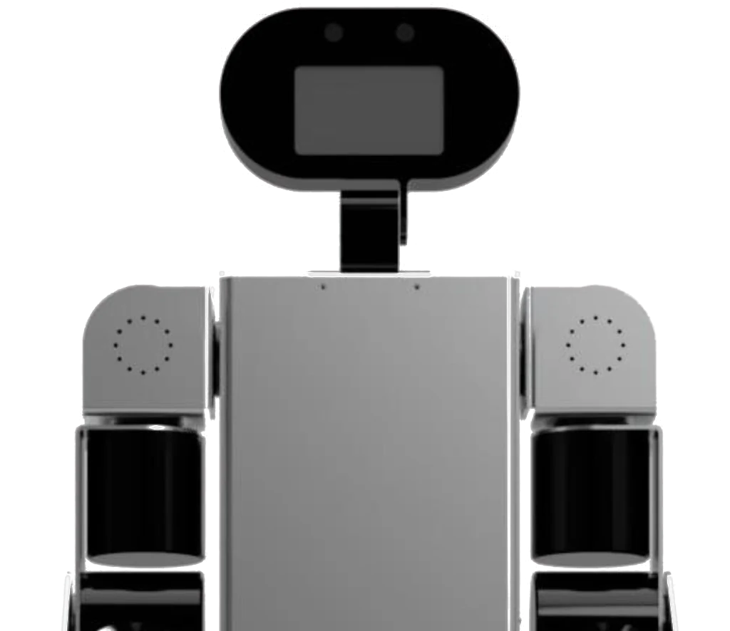 Buildo's head, torso and arms, front view